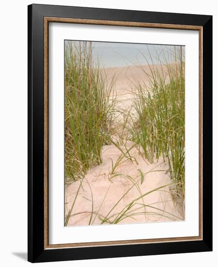Smyrna Dunes Park, New Smyrna Beach, Florida-Lisa S^ Engelbrecht-Framed Photographic Print