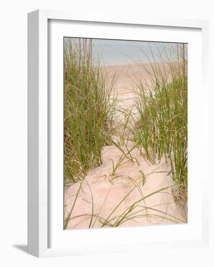 Smyrna Dunes Park, New Smyrna Beach, Florida-Lisa S^ Engelbrecht-Framed Photographic Print