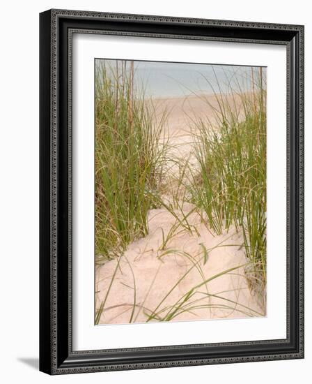 Smyrna Dunes Park, New Smyrna Beach, Florida-Lisa S^ Engelbrecht-Framed Photographic Print