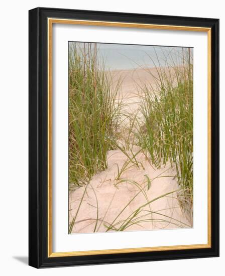 Smyrna Dunes Park, New Smyrna Beach, Florida-Lisa S^ Engelbrecht-Framed Photographic Print