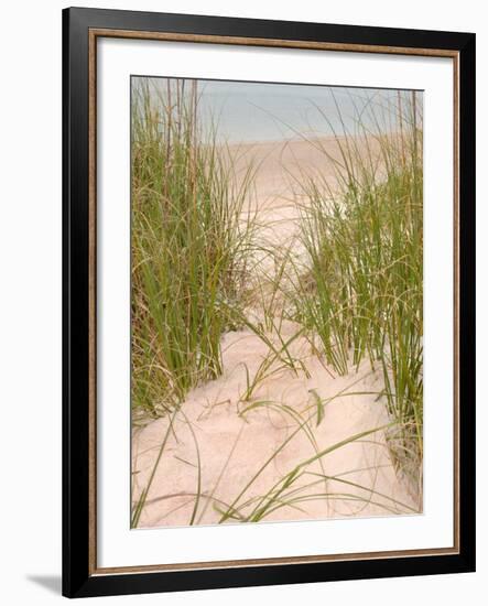 Smyrna Dunes Park, New Smyrna Beach, Florida-Lisa S^ Engelbrecht-Framed Photographic Print