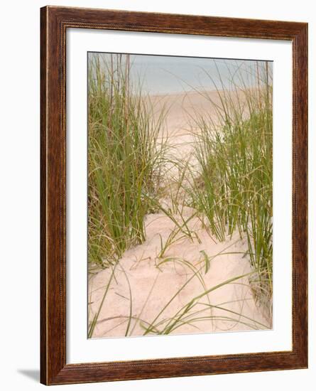 Smyrna Dunes Park, New Smyrna Beach, Florida-Lisa S^ Engelbrecht-Framed Photographic Print