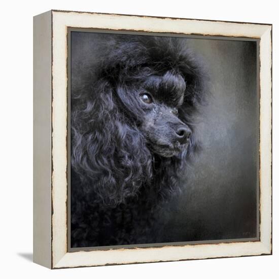 Snack Spotter Toy Black Poodle-Jai Johnson-Framed Premier Image Canvas