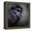 Snack Spotter Toy Black Poodle-Jai Johnson-Framed Premier Image Canvas