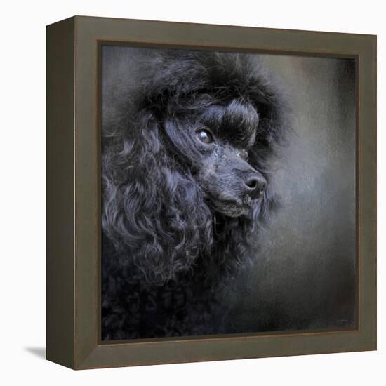 Snack Spotter Toy Black Poodle-Jai Johnson-Framed Premier Image Canvas