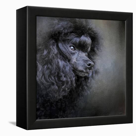 Snack Spotter Toy Black Poodle-Jai Johnson-Framed Premier Image Canvas