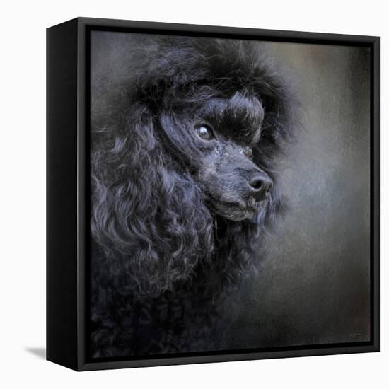 Snack Spotter Toy Black Poodle-Jai Johnson-Framed Premier Image Canvas