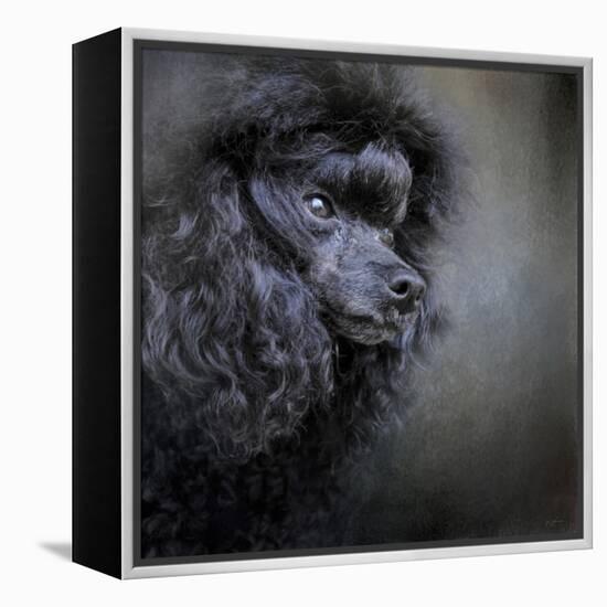 Snack Spotter Toy Black Poodle-Jai Johnson-Framed Premier Image Canvas
