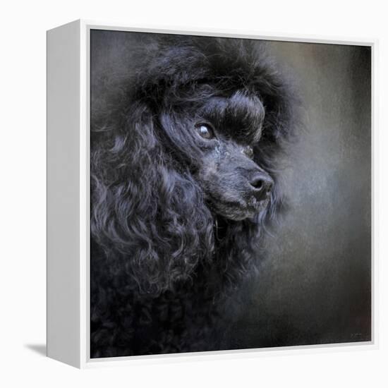 Snack Spotter Toy Black Poodle-Jai Johnson-Framed Premier Image Canvas