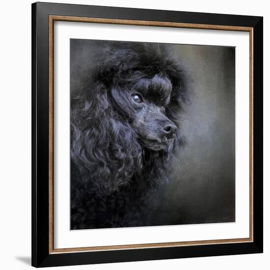 Snack Spotter Toy Black Poodle-Jai Johnson-Framed Giclee Print