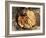 Snacks, Covered in Batter, Mingun, Myanmar (Burma)-Upperhall-Framed Photographic Print