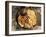 Snacks, Covered in Batter, Mingun, Myanmar (Burma)-Upperhall-Framed Photographic Print