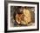 Snacks, Covered in Batter, Mingun, Myanmar (Burma)-Upperhall-Framed Photographic Print