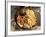 Snacks, Covered in Batter, Mingun, Myanmar (Burma)-Upperhall-Framed Photographic Print