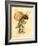 Snail 1873 'Missing Links' Parade Costume Design-Charles Briton-Framed Giclee Print