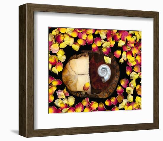 Snail painted Rose Petals-null-Framed Art Print