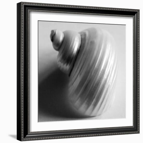 Snail Sea Shell-John Harper-Framed Giclee Print