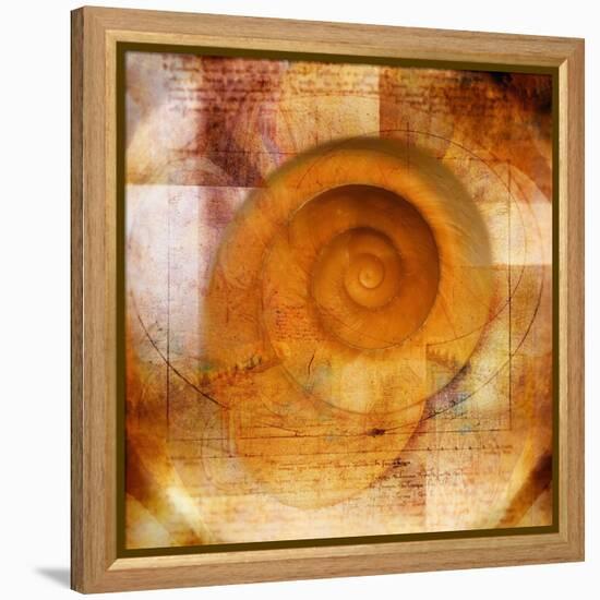 Snail Shell and Handwriting-Colin Anderson-Framed Premier Image Canvas