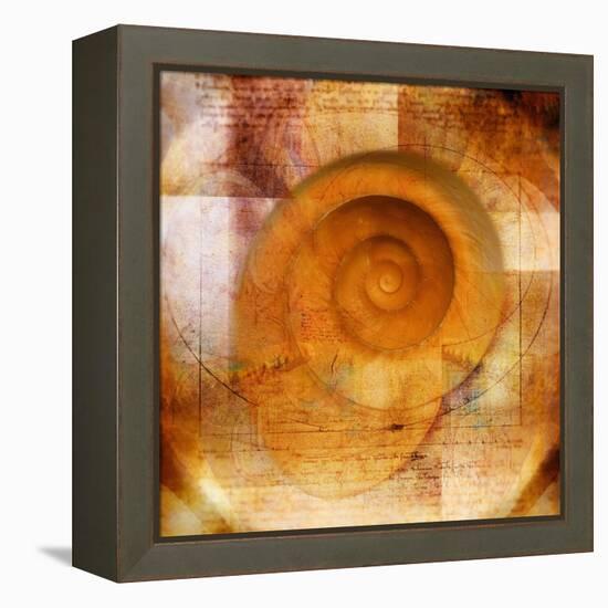 Snail Shell and Handwriting-Colin Anderson-Framed Premier Image Canvas