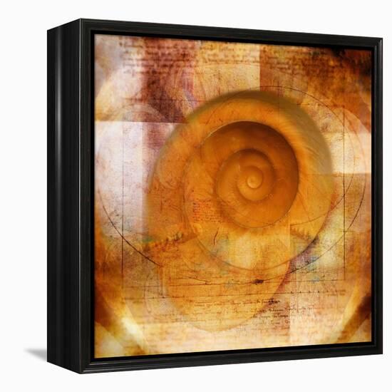 Snail Shell and Handwriting-Colin Anderson-Framed Premier Image Canvas