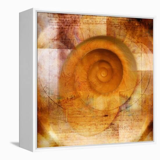 Snail Shell and Handwriting-Colin Anderson-Framed Premier Image Canvas