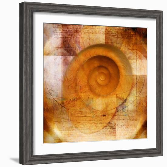 Snail Shell and Handwriting-Colin Anderson-Framed Photographic Print