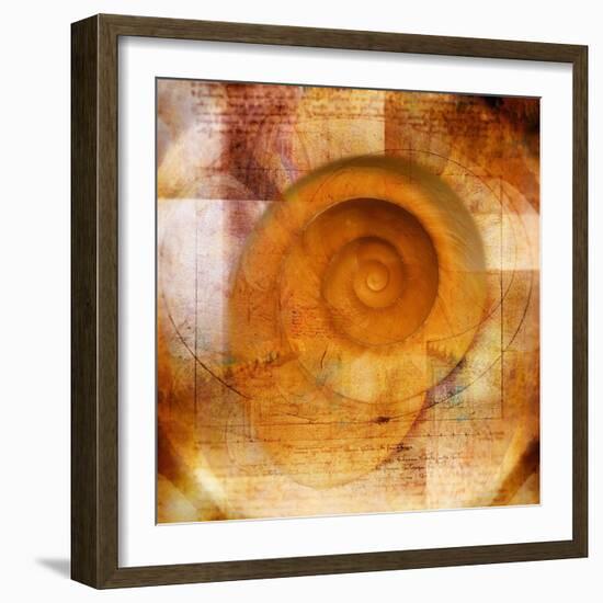 Snail Shell and Handwriting-Colin Anderson-Framed Photographic Print