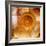 Snail Shell and Handwriting-Colin Anderson-Framed Photographic Print