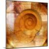 Snail Shell and Handwriting-Colin Anderson-Mounted Photographic Print