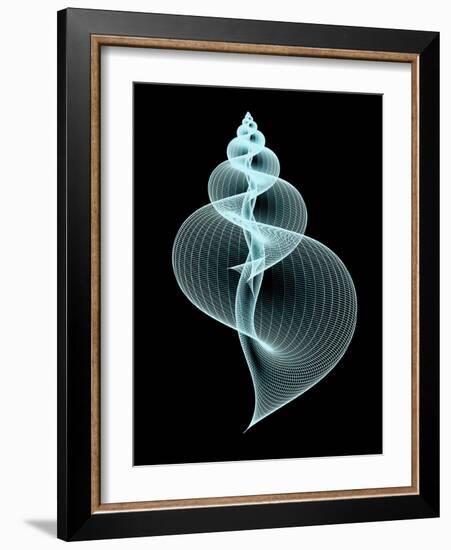 Snail Shell, Artwork-PASIEKA-Framed Photographic Print