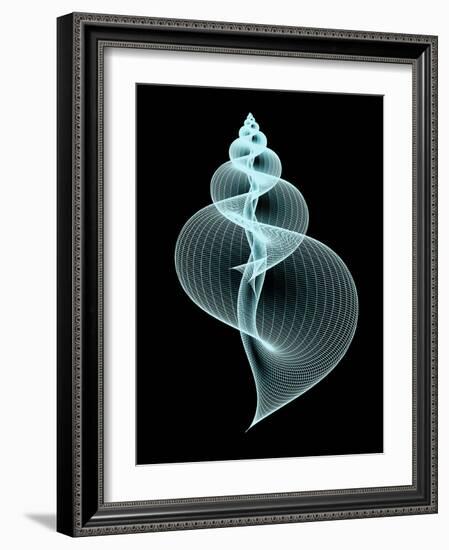 Snail Shell, Artwork-PASIEKA-Framed Photographic Print