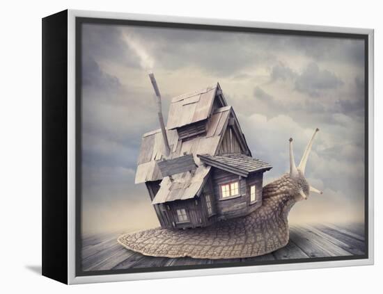 Snail with a Shell House-egal-Framed Premier Image Canvas