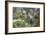 Snail with House on Green Flowers-Niki Haselwanter-Framed Photographic Print
