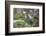 Snail with House on Green Flowers-Niki Haselwanter-Framed Photographic Print