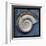 Snail-John Golden-Framed Art Print