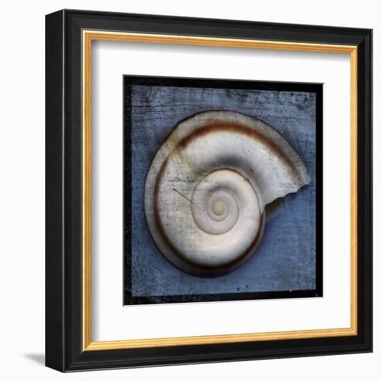 Snail-John W^ Golden-Framed Art Print