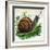 Snail-null-Framed Giclee Print