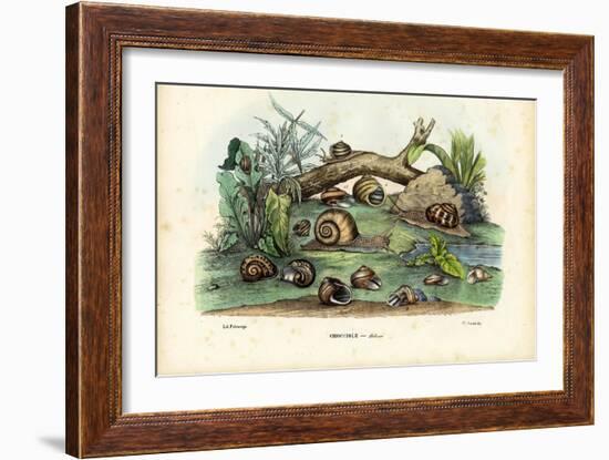 Snails, 1863-79-Raimundo Petraroja-Framed Giclee Print