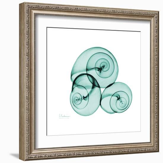 Snails-Albert Koetsier-Framed Art Print