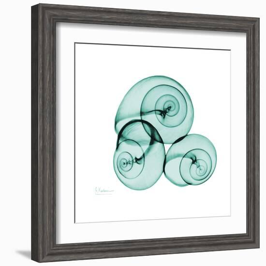 Snails-Albert Koetsier-Framed Art Print