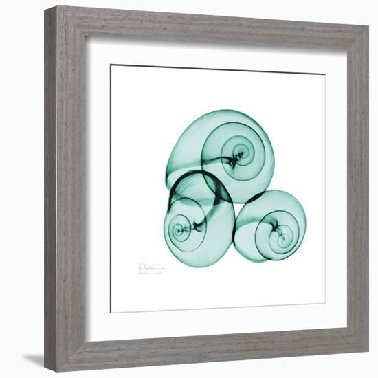 Snails-Albert Koetsier-Framed Art Print