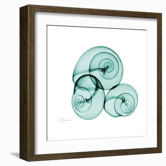 Snails-Albert Koetsier-Framed Art Print