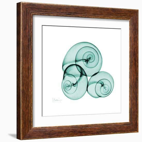 Snails-Albert Koetsier-Framed Art Print