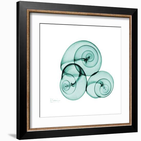 Snails-Albert Koetsier-Framed Art Print