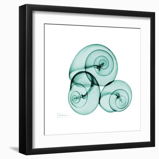 Snails-Albert Koetsier-Framed Art Print