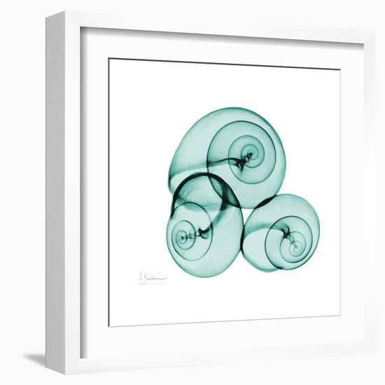 Snails-Albert Koetsier-Framed Art Print