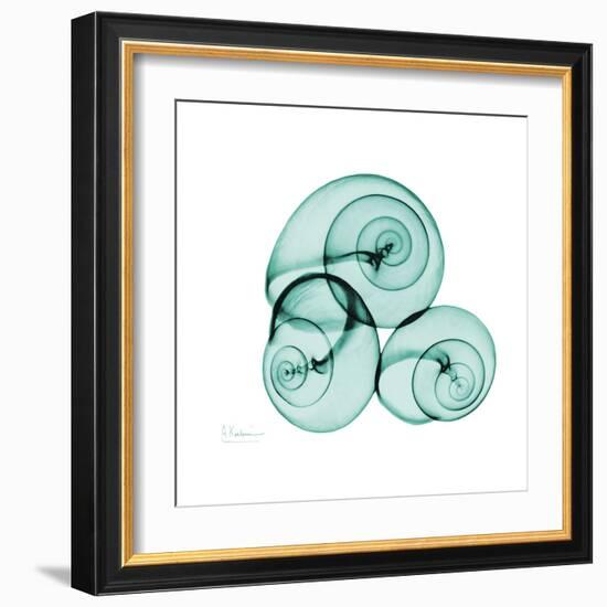 Snails-Albert Koetsier-Framed Art Print