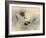 Snails-Ellen Van-Framed Photographic Print