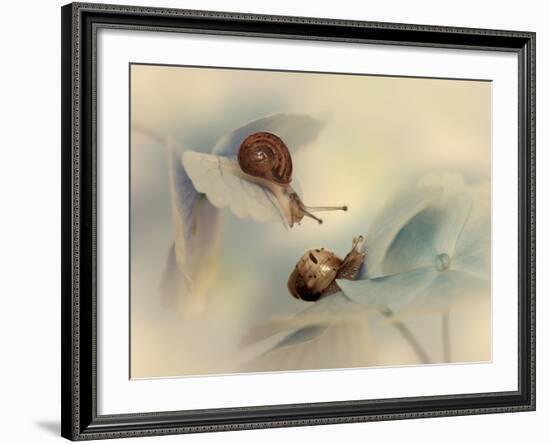 Snails-Ellen Van-Framed Photographic Print