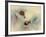 Snails-Ellen Van-Framed Photographic Print